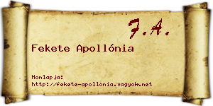 Fekete Apollónia névjegykártya